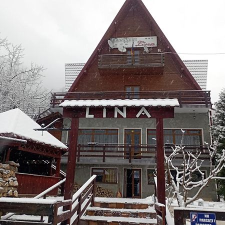 Pensiunea Lina Lepşa 外观 照片